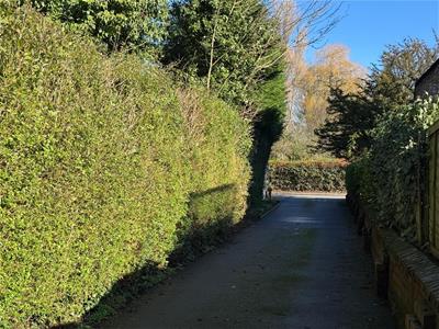 Picture 25
